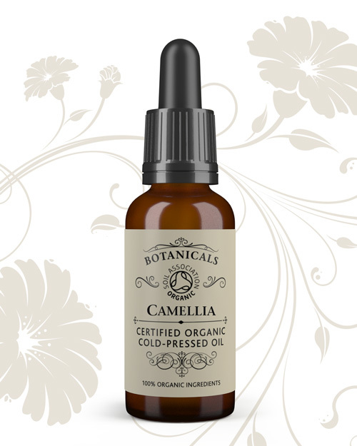 All About Camellia Oil
