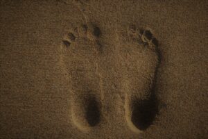 sandy foot prints - reflexology essex