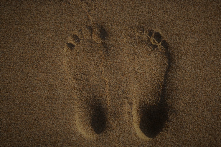 sandy foot prints - reflexology essex